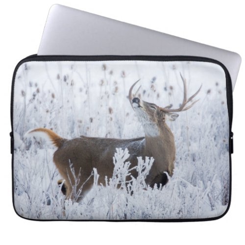 Alerted White_tail Deer Buck Montana Laptop Sleeve