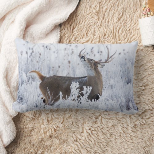 Alerted White_tail Deer Buck Montana Lumbar Pillow