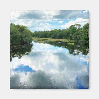 Alexander Spring Creek