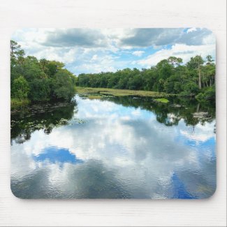 Alexander Spring Creek