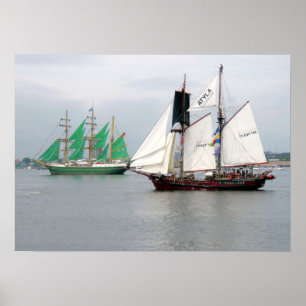Alexander Von Humboldt II and Atyla Poster