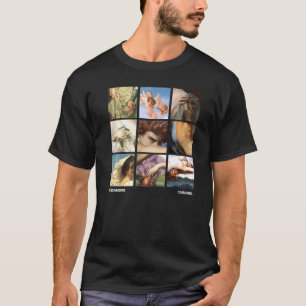 Alexandre Cabanel Famous Paintings Grid T-Shirt