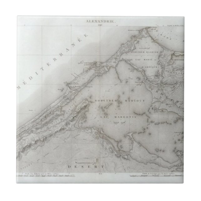 Alexandrie, Egypt Ceramic Tile (Front)