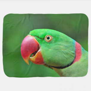 Alexandrine Parakeet Baby Blanket
