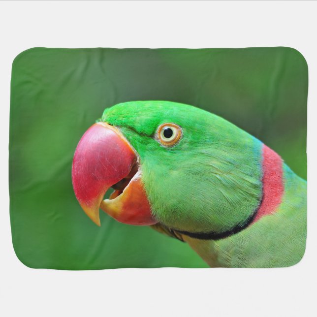 Alexandrine Parakeet Baby Blanket (Horizontal)