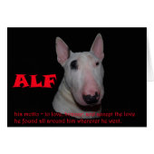 ALF accepting the love (Front Horizontal)