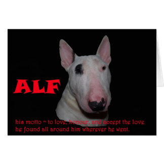 ALF accepting the love Cards