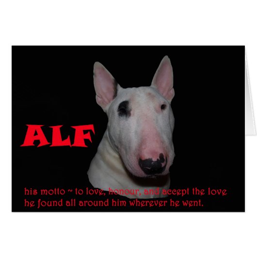 ALF accepting the love Cards (Front Horizontal)