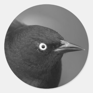 Alfred Hitchcock personage Classic Round Sticker