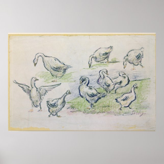 Alfred Sisley | Ducks Poster (Front)