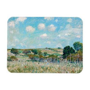 Alfred Sisley - The Meadow Magnet