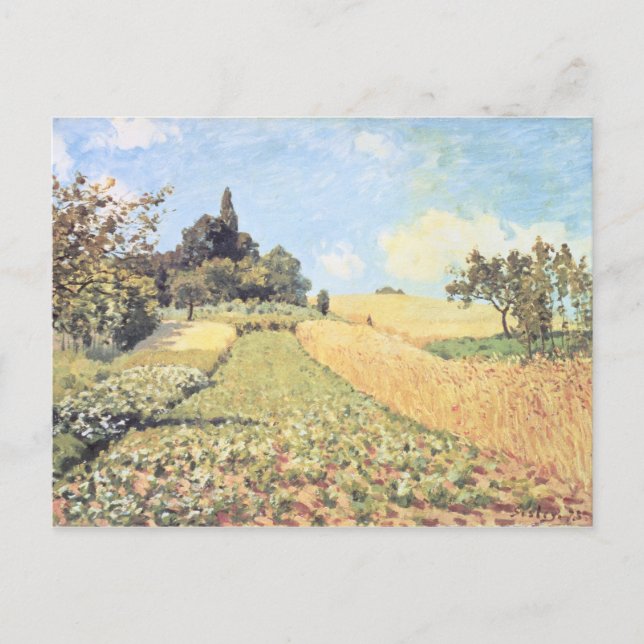 Alfred Sisley | Wheat Field Postcard (Front)