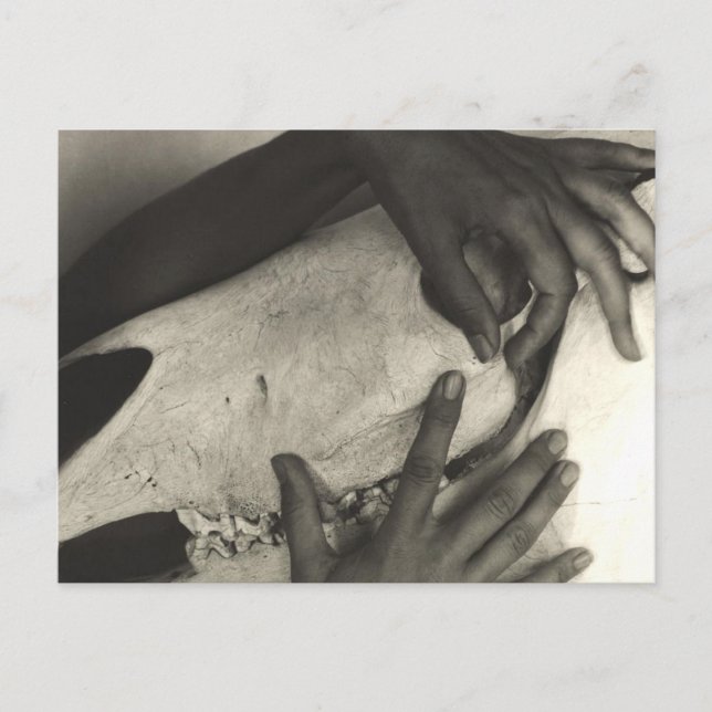 Alfred Stieglitz - Georgia O'Keeffe - Hands And Ho Postcard (Front)