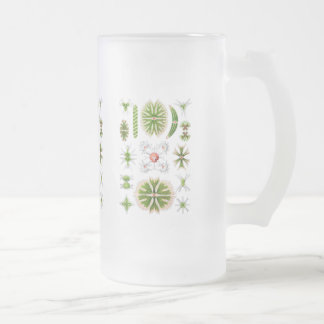 Algae Frosted Glass Beer Mug