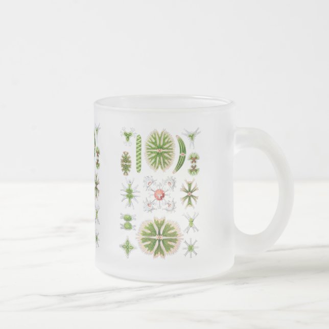 Algae Frosted Glass Coffee Mug (Right)