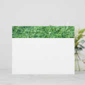 Algae green background (Standing Front)