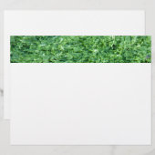 Algae green background (Front/Back)