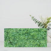 Algae green background (Standing Front)