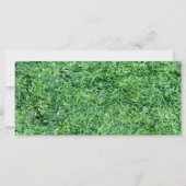 Algae green background (Front)