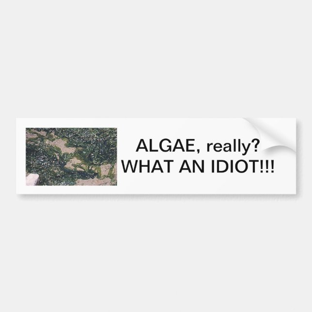 Algae our savior bumper sticker (Front)