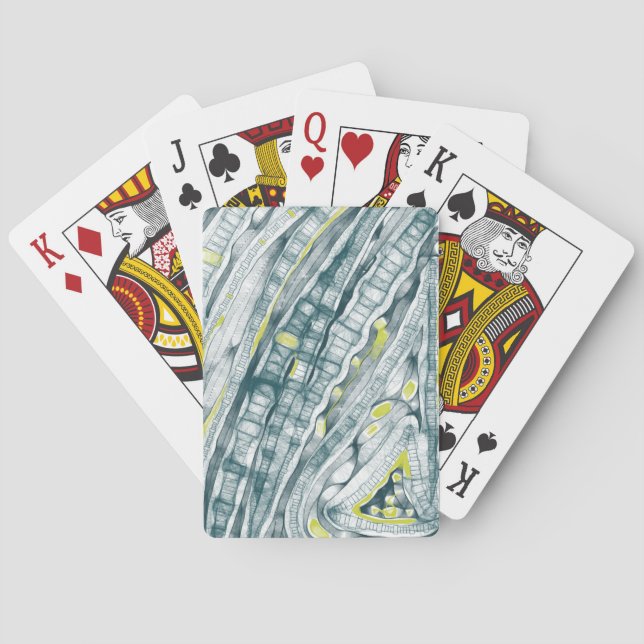 Algae Under Glass Poker Cards (Back)