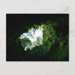 Algar do carvao: Terceira, Azores Postcard