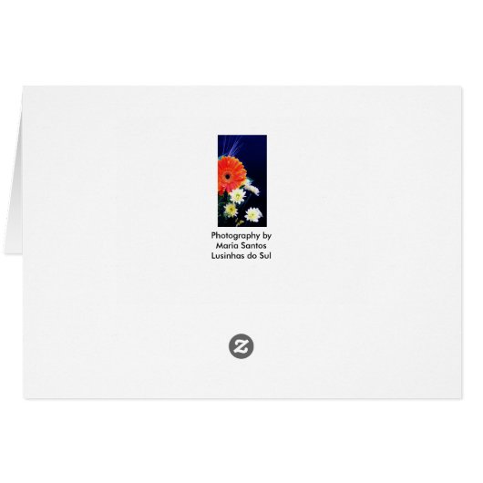 Algarve, Portugal (Back Horizontal)