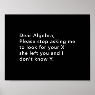 Algebra and his X Poster