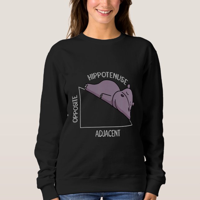 algebra math student math teacher hippotenuse sweatshirt (Front)