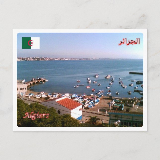 Algeria - Algeri - Postcard (Front)