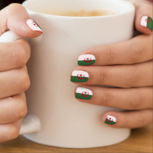 Algeria flag minx nail art