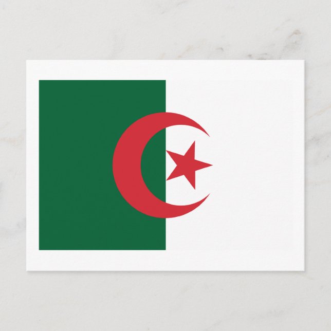 Algeria Flag Postcard (Front)