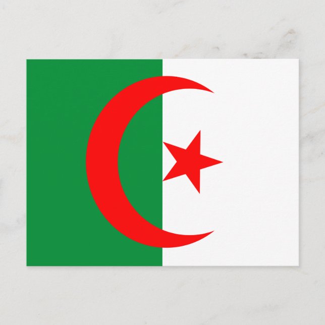 algeria flag postcard (Front)