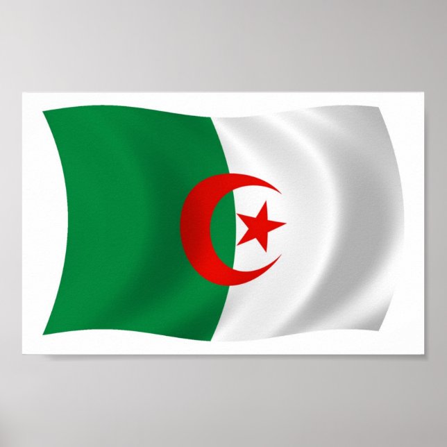 Algeria Flag Poster Print (Front)