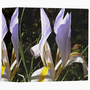 Algerian Iris Hyperrealistic Wildflower Painting 3 Ring Binder