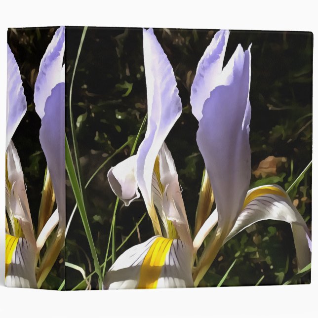 Algerian Iris Hyperrealistic Wildflower Painting 3 Ring Binder (Front/Spine)