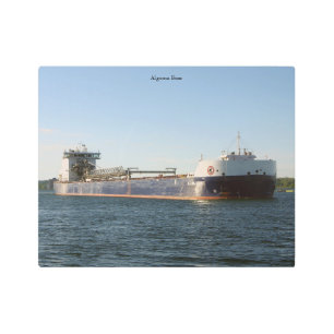 Algoma Bear metal wall art