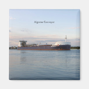 Algoma Conveyor magnet