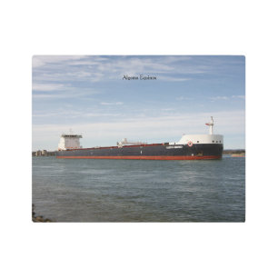 Algoma Equinox metal wall art