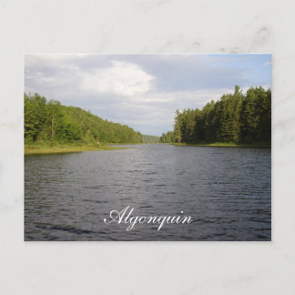 Algonquin Beauty Postcard