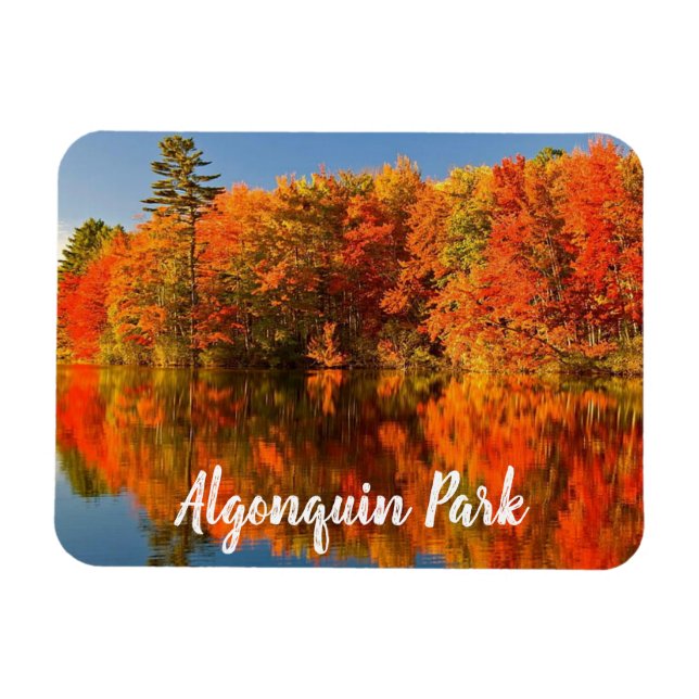 Algonquin Park Canada Fall stylized Magnet (Horizontal)