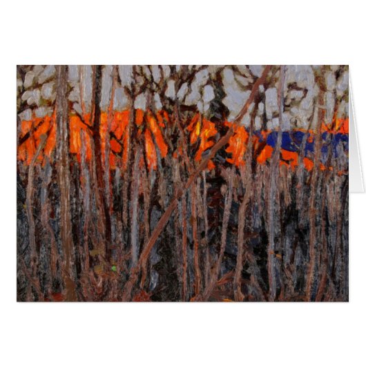 Algonquin Park Cards (Front Horizontal)