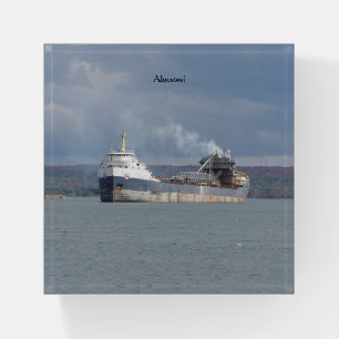 Algosteel paperweight