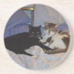 Alice and Sydney Coaster<br><div class="desc">Alice and Sidney</div>