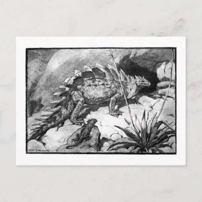 Alice B. Woodward: Stegosaurus art postcard (Front)