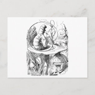 Alice consults The Caterpillar Postcard