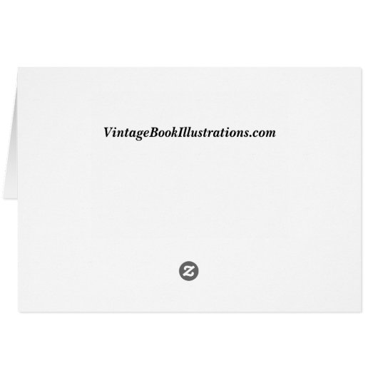 Alice Havers - The White Swans (Back Horizontal)