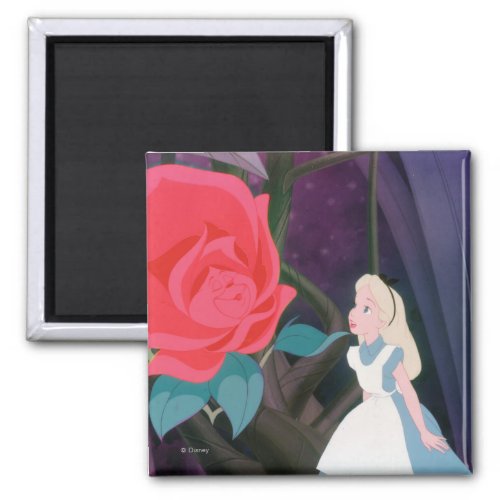 Alice in Wonderland Garden Flower Film Still Magnet