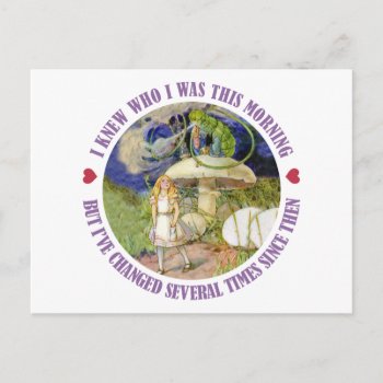 Alice In Wonderland - I Knew Who I Was This Mornin Postcard by All_Around_Alice at Zazzle