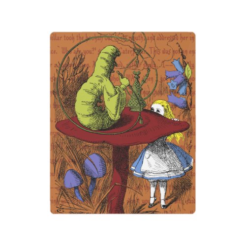 Alice In Wonderland Metal Print
